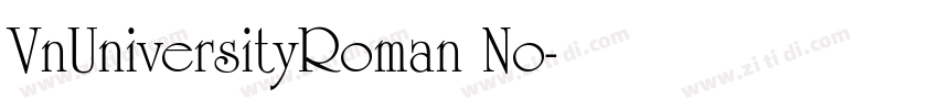 VnUniversityRoman No字体转换